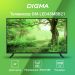 Телевизор Digma 43" DM-LED43MBB21