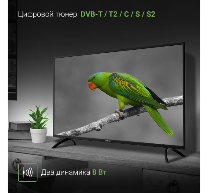 Телевизор Digma 43" DM-LED43MBB21