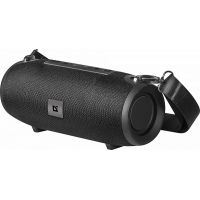 Портативная акустика DEFENDER Enjoy S900 черный