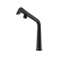 Смеситель Franke Icon, черный матовый (115.0625.187)