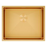 Мойка Paulmark Next 54 uni PM215444-BG, брашированное золото