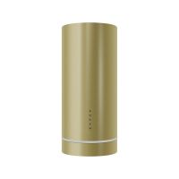 Вытяжка MEFERI TUBE35GOLD COMFORT