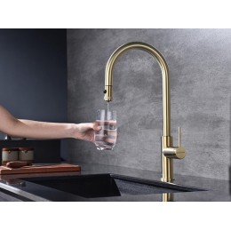Смеситель Paulmark Galant Ga213077-LG (SKU 26761) латунь, поворотный, выдвижной, 180°, 477 мм