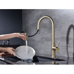 Смеситель Paulmark Galant Ga213077-LG (SKU 26761) латунь, поворотный, выдвижной, 180°, 477 мм