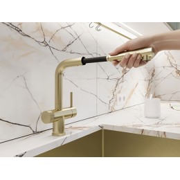 Смеситель Emar ЕС - 7026 Matt Gold