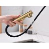 Смеситель Paulmark Neo Ne214419-LG (SBG) в светлом золоте - Элегантный выбор для вашей кухни или ванной