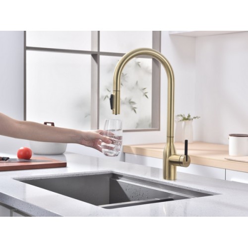 Смеситель Paulmark Universal Un213880-LG (SBG) - Светлое Золото | Качественные Смесители для Вашей Кухни и Ванной