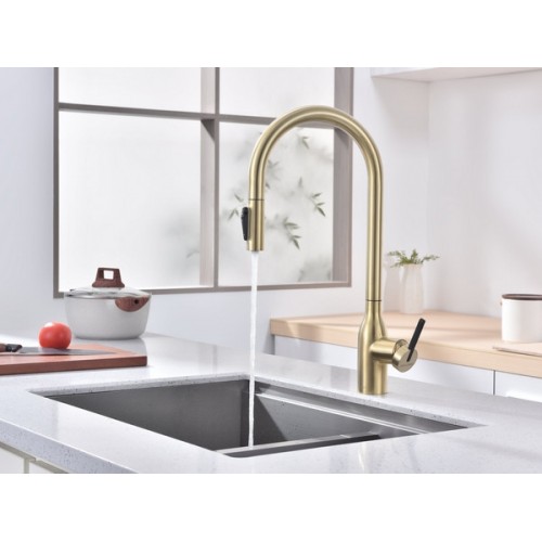 Смеситель Paulmark Universal Un213880-LG (SBG) - Светлое Золото | Качественные Смесители для Вашей Кухни и Ванной