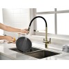 Смеситель Paulmark Gravity GR213888-G в золоте – Элегантность и Функциональность для Вашей Кухни