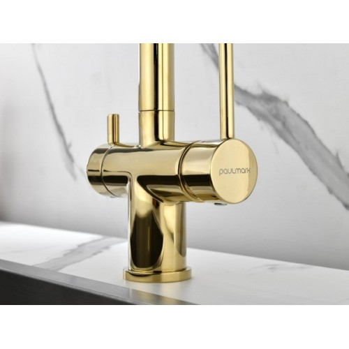 Смеситель Paulmark Serpentine Se213222-G в золоте - Элегантное решение для вашей ванной