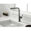 Смеситель Paulmark Neo Ne214419-GM (B) из вороненой стали (беретта) – стиль и качество для вашей кухни