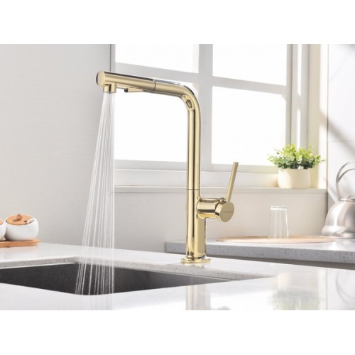 Смеситель Paulmark Neo Ne214419-G в золоте - Элегантность и Качество для Вашей Кухни