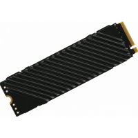 SSD-накопитель Digma 2Tb PCI-E 4.0 DGST4002TG33T