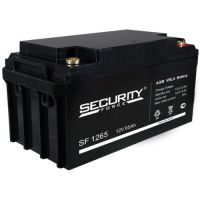 Сменные аккумуляторы АКБ для ИБП Security Force SF 1265 (12 В)