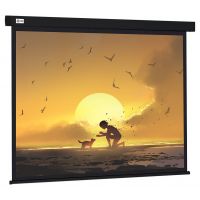 Экран Cactus 150x150см Wallscreen CS-PSW-150X150-BK 11 настенно-потолочный рулонный черный