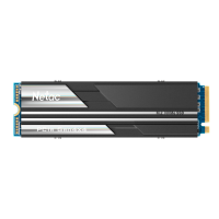 Ssd накопитель Netac SSD NV5000 PCIe 4 x4 M.2 2280 NVMe 3D NAND 500GB, R/W up to 5000/2500MB/s, with heat sink, 5y wty (NT01NV5000-500-E4X)