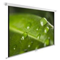 Экран Cactus 150x200см WallExpert CS-PSWE-200x150-WT 43 настенно-потолочный рулонный