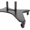 Стойка для телевизора Cactus CS-ST31 черный 37"-75" макс.81.6кг напольный мобильный