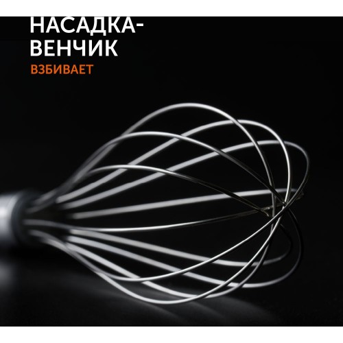 Блендер погружной Red Solution RHB-2948 1200Вт черный/шампань