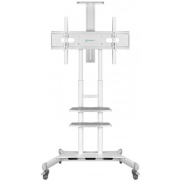 Подставка для телевизора Onkron TS1881 белый 50"-86" макс.105.9кг напольный мобильный