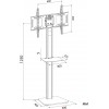 Стойка для телевизора Cactus CS-VM-ST97-D черный 37"-70" макс.68кг напольный