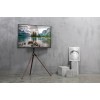 Подставка для телевизора Cactus CS-ST1246BKWN черный/орех 45"-65" макс.32кг напольный