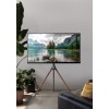 Подставка для телевизора Cactus CS-ST1246BKWN черный/орех 45"-65" макс.32кг напольный