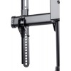 Кронштейн для телевизора Arm Media LCD-1700 черный 26"-65" макс.55кг потолочный наклон