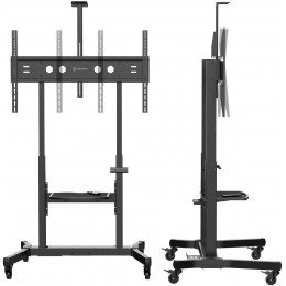 Стойка для телевизора Onkron TS1991 eLift черный 50"-100" макс.130кг напольный наклон (моторизованный лифт)