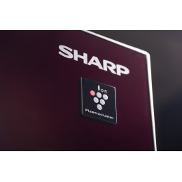 Холодильник Sharp sjgx98prd, 4-дверный, 605л, No Frost, инверторный компрессор, ионизация воздуха, быстрое замораживание.