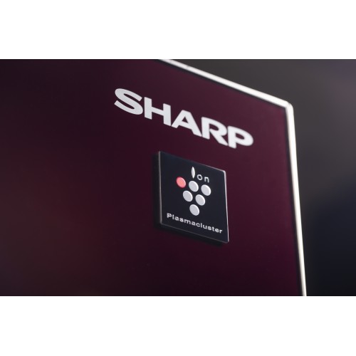 Холодильник Sharp 183x89.2x77.1 см, 605 л, No Frost, инверторный компрессор, ионизация воздуха, быстрое охлаждение и замораживание, LED освещение, льдогенератор